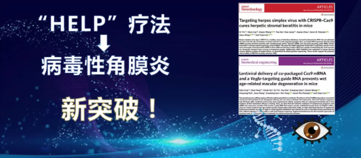 20220124149417.png image.png