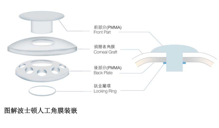 20220316132429.jpg 波士顿.jpg