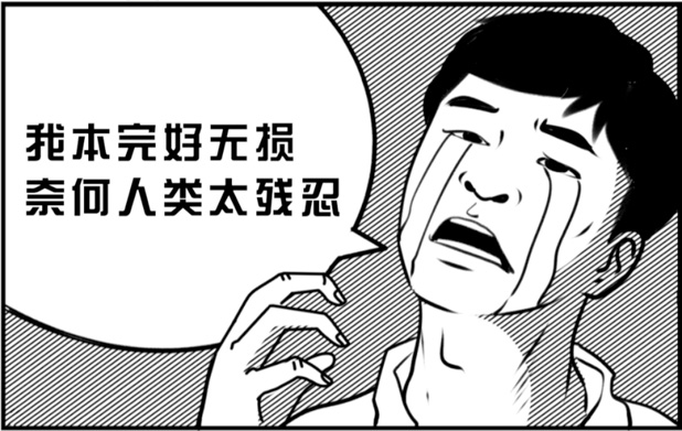 20220316896615.jpg 1-5.jpg