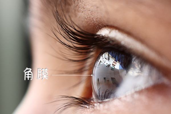 20220324302463.png 角膜2.png