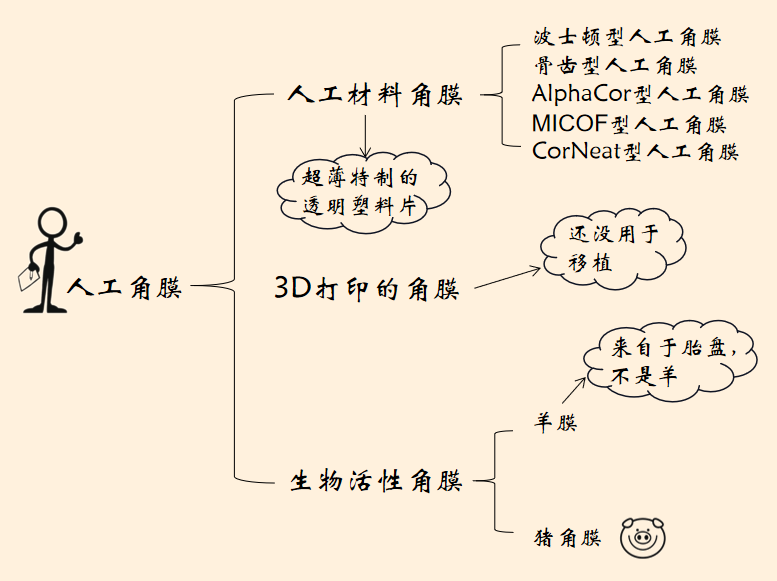 20220324595433.png 人工角膜.png