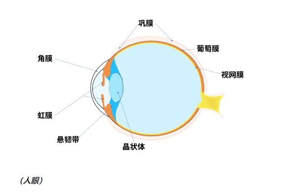 20220415974647.png image.png