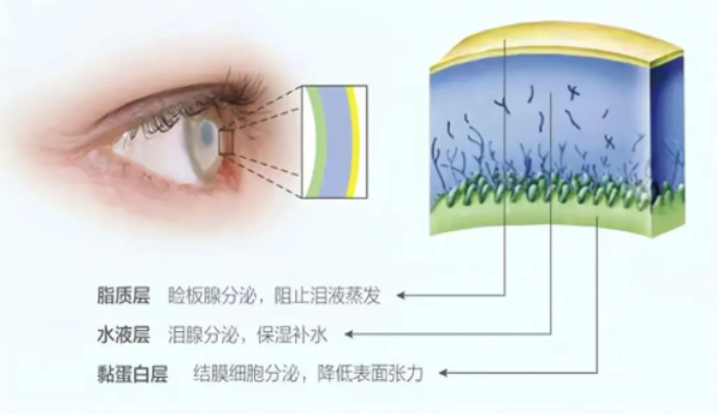 20220506958734.png image.png