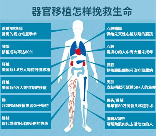 未标题-1.jpg